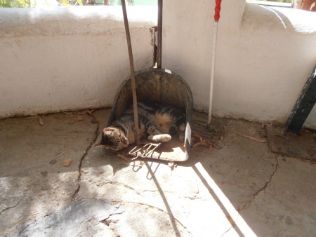 Lekker slapen in de poepschep